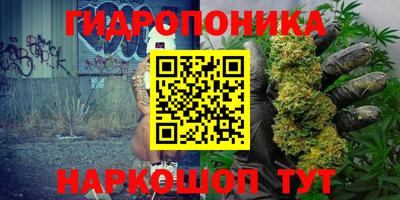 apvp Кунгур